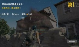 大仙爆料吃鸡视频下载,独家爆料带你领略游戏魅力