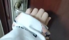 莫莫被爆料的视频,揭秘背后真相与争议