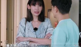 陈若仪综艺节目爆料视频,背后的故事与情感纠葛