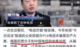 央视爆料诈骗视频大全集,诈骗视频大全集深度剖析