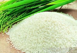 绿色大米爆料视频下载安装,下载安装绿色大米的全新体验