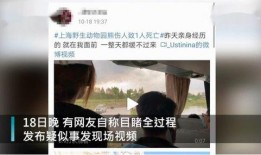 喜乐饲养员爆料视频播放,视频播放背后的温馨故事