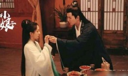 将军家的小娘子在线观看电视剧,穿越时空的甜蜜邂逅