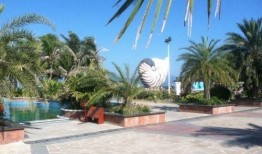 娱乐吃瓜岛,揭秘娱乐圈背后的那些事儿