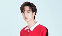 娱乐爆料易梦玲是真的吗,娱乐爆料背后的真相