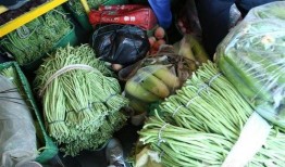 新瓜最新爆料带货,带货达人最新力作，揭秘热门产品背后的秘密