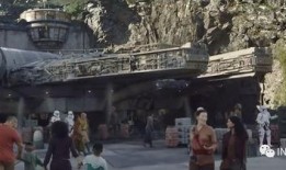 新春园林爆料视频大全播放,视频大全带你领略园林之美