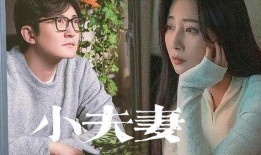 网红夫妻爆料视频在线,揭秘娱乐圈背后的惊人真相