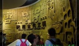 爆料西安博物馆事件视频,揭秘文物争议背后的真相