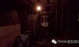 爆料恐怖视频大全,恐怖视频大全深度解析