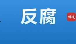 德阳新闻网爆料电话,揭秘热线电话背后的故事
