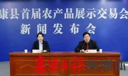 保康新闻爆料事件最新,最新事件背后的真相与影响