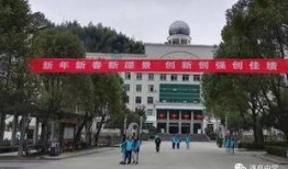 遂昌中学爆料事件视频,真相与争议的交织