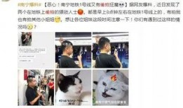 偷拍爆料背景图片视频,揭秘隐私泄露背后的真相与反思