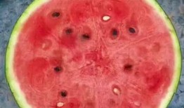 网红款夏季吃瓜神器,解锁清凉新姿势