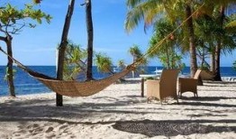 娱乐吃瓜岛,揭秘娱乐圈背后的那些事儿