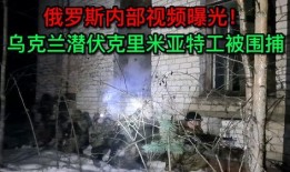 乌克兰内部爆料视频播放,乌克兰内部爆料视频揭露惊人内幕