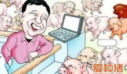 养猪导演大爆料视频播放,视频背后不为人知的幕后故事