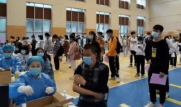 石家庄功夫爆料最新消息,揭秘幕后秘闻与精彩瞬间