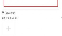 新闻投稿或者爆料在哪里,揭秘新闻投稿背后的故事