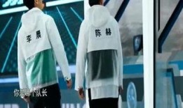 全娱乐爆料最新解说,揭秘明星幕后故事，最新解说大放送！