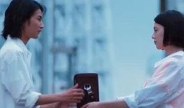 何方女友爆料视频大全,一场网络舆论的风暴