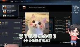 黑希b站爆料视频在哪看,观看途径全解析