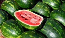 鉴罪图鉴免费吃瓜,免费吃瓜，揭秘罪案背后的真相