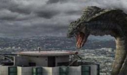 龙在哪里在线观看