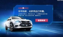 爆料比亚迪新闻视频,揭秘新能源汽车领域的创新突破