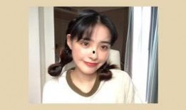 莫莫被爆料的视频,揭秘背后真相与争议