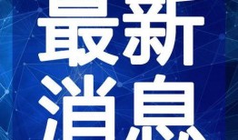 新疆饭店爆料视频最新版,揭露惊人内幕，真相令人震惊