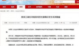 八村最新爆料新闻事件是什么,揭秘事件背后惊人真相！”