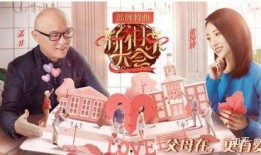 江苏爆料相亲视频大全,揭秘江苏年轻人的婚恋现状