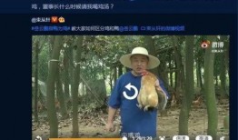 董瓜瓜视频最新爆料,揭秘娱乐圈惊人内幕