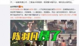 卓伟朋友爆料视频,揭秘娱乐圈幕后真相