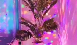 吃瓜网红紫色氛围灯,揭秘网红圈的秘密生活