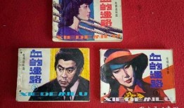 血的迷路在线观看,血路追踪之旅