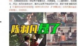 奚安娜爆料原文视频,揭秘娱乐圈幕后真相