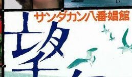 电影《望乡》在线观看,穿越时空的寻根之旅，探寻家族记忆的深刻启示