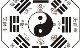 最新八卦爆料入口官网,独家内幕一网打尽！