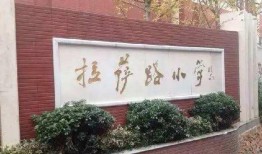 南京博物院爆料案件最新,揭秘背后惊心动魄的真相