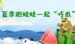 娱乐吃瓜蛙,揭秘娱乐圈那些不为人知的幕后故事