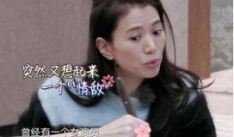 谢娜袁咏仪爆料视频大全,娱乐圈幕后故事全曝光