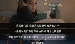 圈内大佬爆料box,Box背后的惊人真相与未来展望