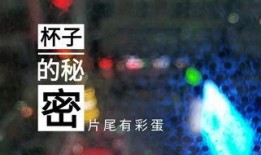 常州饭店爆料视频最新,揭秘酒店内部惊人真相！