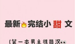 娱乐圈爆料小说完结文章,幕后真相大揭秘