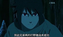 佐助爆料在哪看视频啊第几集,视频观看指南及关键集数揭晓