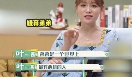 长春爆料弟弟视频播放,弟弟视频引发热议，网友热议其背后故事
