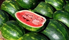 颜值网红吃瓜图片大全,揭秘娱乐圈幕后故事